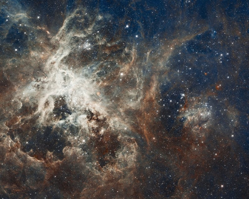 Interstellar Exchanges