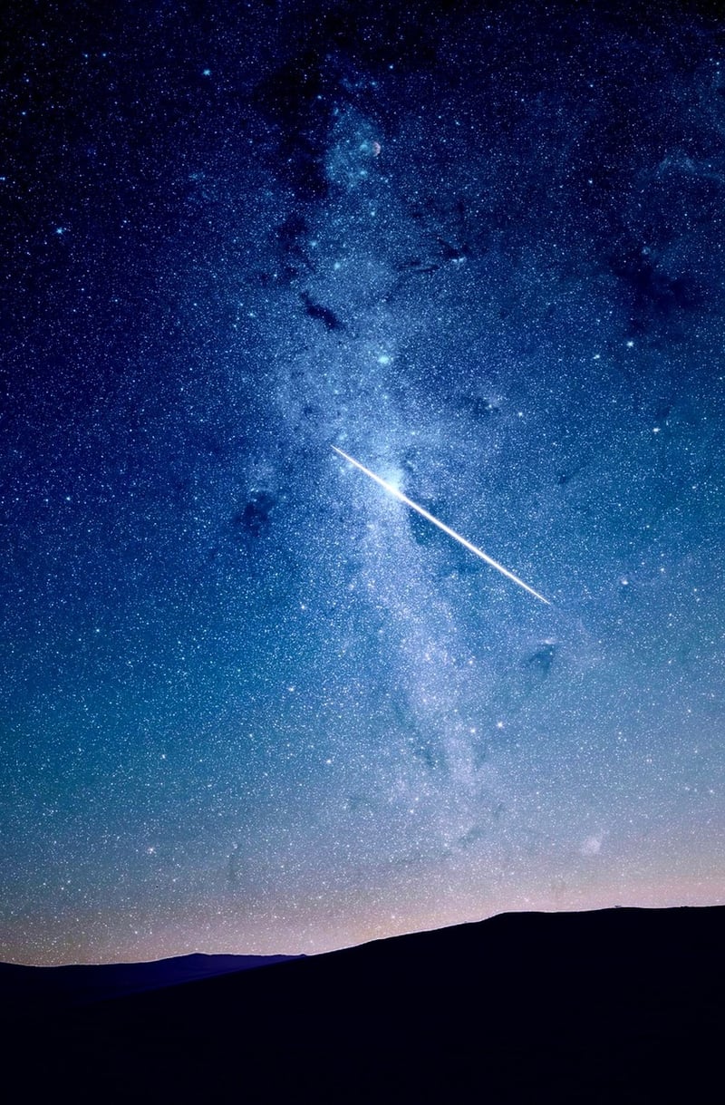 Starlit Garden