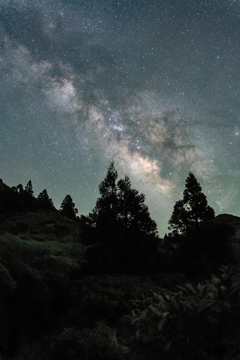 Stargazing Reception