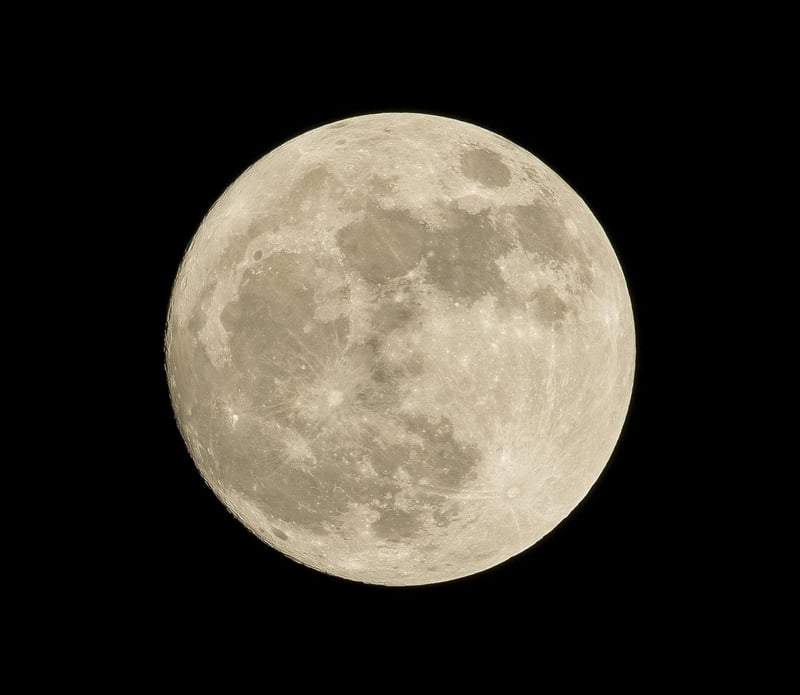 Moon Phase Wall Art
